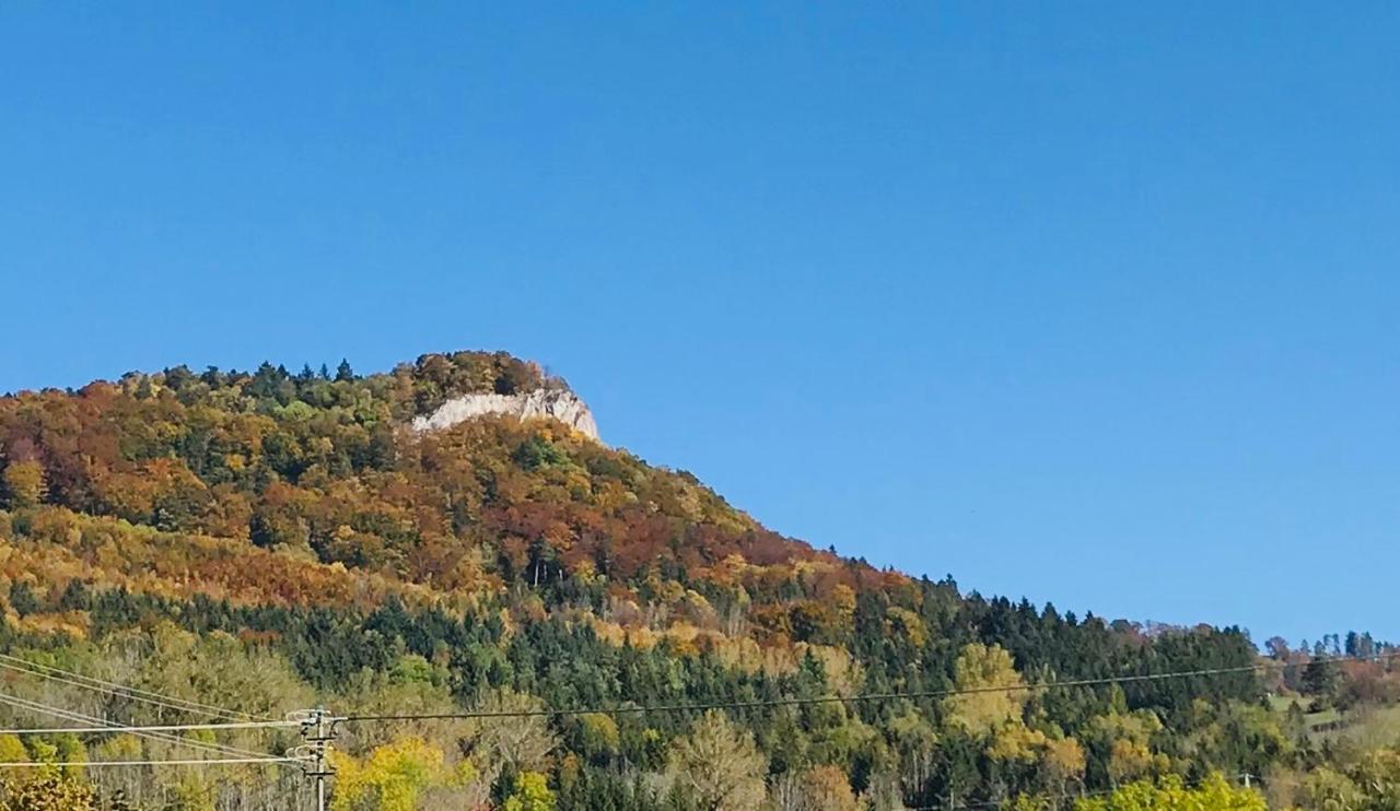 Ferienappartement Albstadt Esterno foto